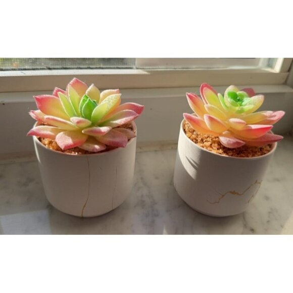 New Succulents Plants Artificial, Mini Fake Succulents in White Ceramic Pots - Picture 1 of 1